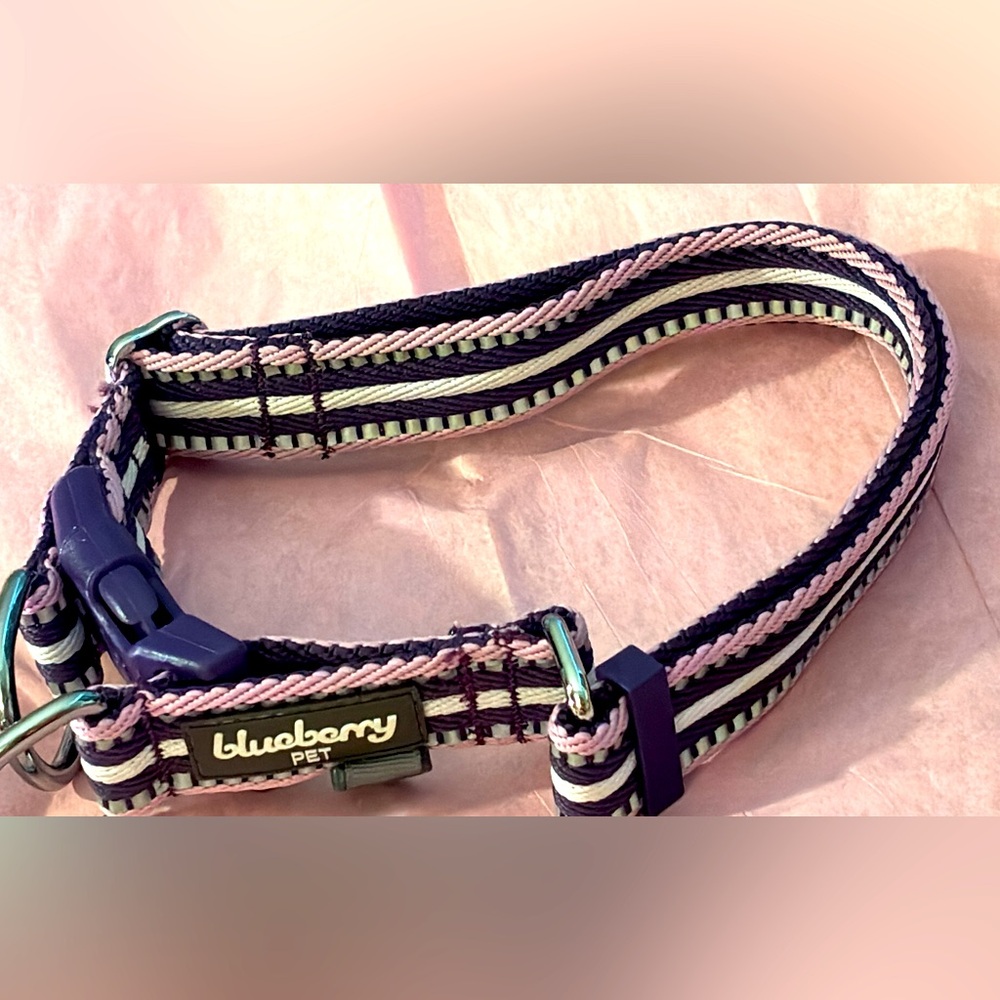 Blueberry Pet 3M Reflective Dog Collars | Adjustable Dog Collar w/Multi-Colored